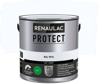 Lak Renaulac Protect Ral9016 Mat 2,5l
