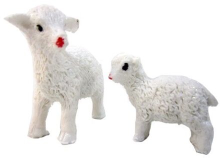 Lam Mini Terrarium Object-2 Stuks