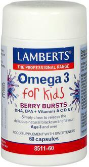 Lamberts Omega 3 for Kids