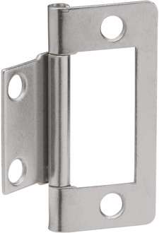 Lamellen Deurscharnier 50X24Mm Ni W - WU0360896