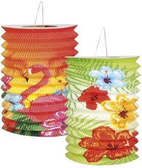 lampionnen Hibiscus 16 cm 2 stuks Multikleur