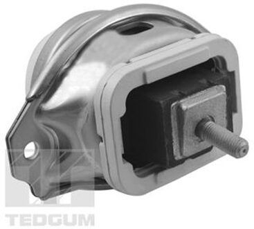 Land Rover Aslichaam-/motorsteunlager TED44341