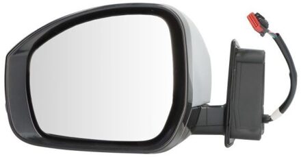 Land Rover Buitenspiegel 5402570697310P