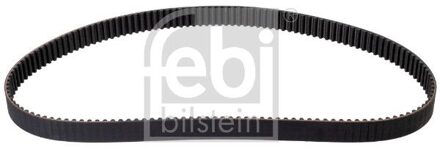 Land Rover Distributieriem 173315