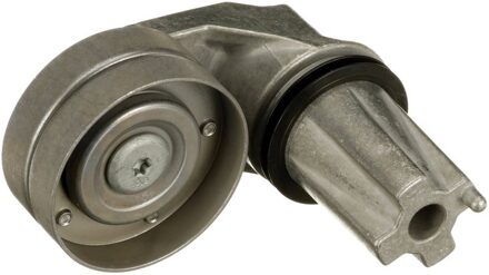 Land Rover Geleide rol/omdraairol, Poly V-riem T36908