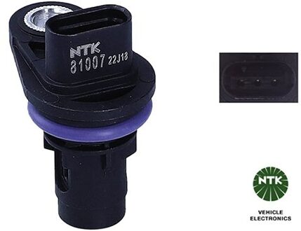 Land Rover Nokkenassensor 81007