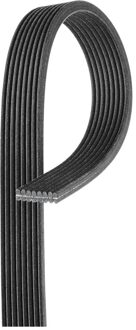 Land Rover Poly V-riem 8DPK1355