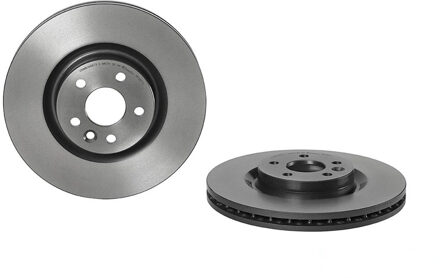 Land Rover Remschijf 09C20711