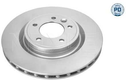 Land Rover Remschijf 53155230020PD