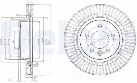 Land Rover Remschijf BG9006C
