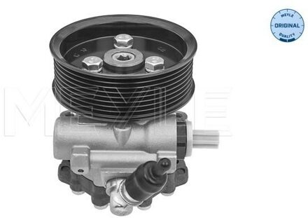 Land Rover Servo pomp 53146310002