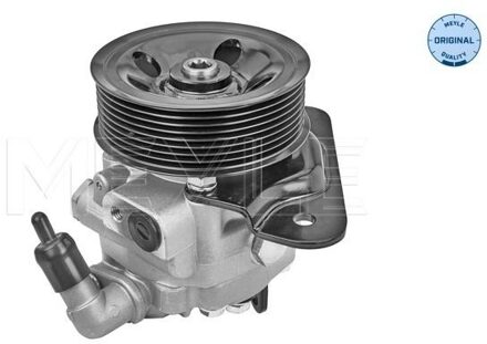 Land Rover Servo pomp 53146310004