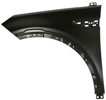 Land Rover Spatbord 6504042001313P