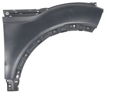 Land Rover Spatbord 6504046456312Q