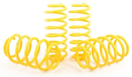 Land Rover ST Suspensions verlagingsveren 28255006