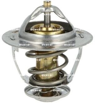 Land Rover Thermostaat, koelvloeistof 725174