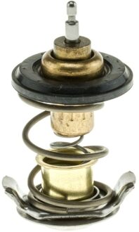 Land Rover Thermostaat, koelvloeistof 82188INS