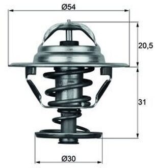 Land Rover Thermostaat, koelvloeistof TX1088D