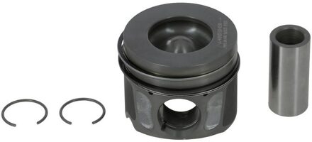 Land Rover Zuiger 8743910710