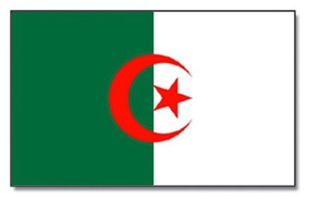 Landen thema vlag Algerije 90 x 150 cm feestversiering