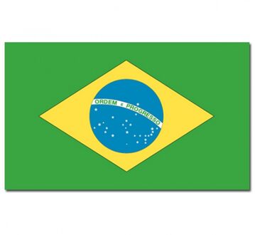 Landen thema vlag Brazilie 90 x 150 cm feestversiering