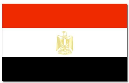 Landen thema vlag Egypte 90 x 150 cm feestversiering