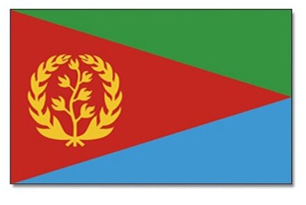 Landen thema vlag Eritrea 90 x 150 cm feestversiering