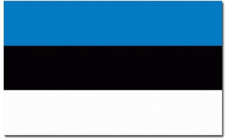 Landen thema vlag Estland 90 x 150 cm feestversiering