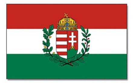 Landen thema vlag Hongarije 90 x 150 cm feestversiering