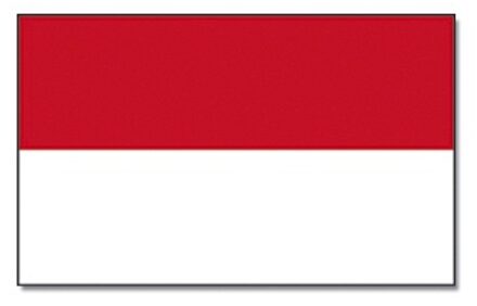 Landen thema vlag Indonesie 90 x 150 cm feestversiering
