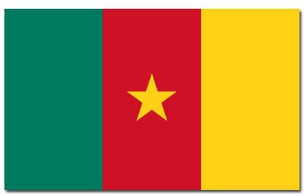 Landen thema vlag Kameroen 90 x 150 cm feestversiering