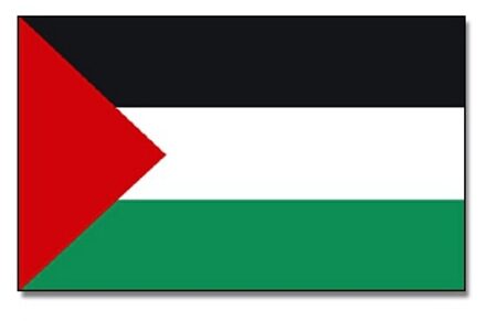 Landen thema vlag Palestina 90 x 150 cm feestversiering