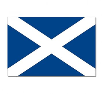 Landen thema vlag Schotland 90 x 150 cm feestversiering