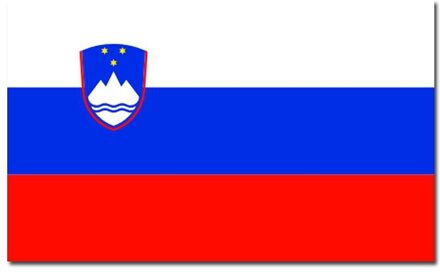 Landen thema vlag Slovenie 90 x 150 cm feestversiering
