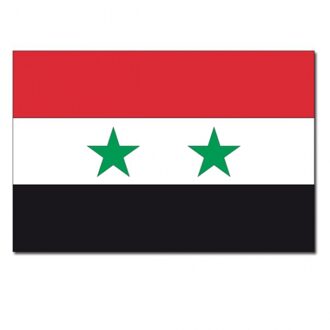 Landen thema vlag Syrie 90 x 150 cm feestversiering