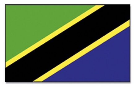 Landen thema vlag Tanzania 90 x 150 cm feestversiering