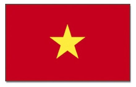 Landen thema vlag Vietnam 90 x 150 cm feestversiering
