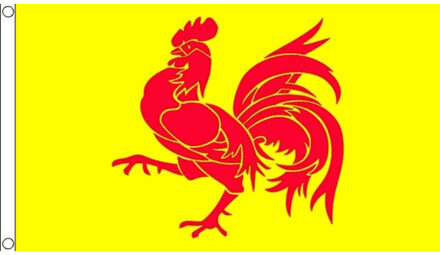 Landenvlag Wallonie haan vlag - geel/rood - 150 x 90 cm - Belgie Multi