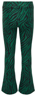 Lange broek Groen - 158-164