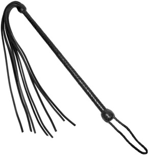 Lange Handgreep Zweep