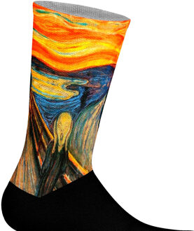 Lange uniseks sokken met elastische print - maat EU 41 - 45 Veelkleurig