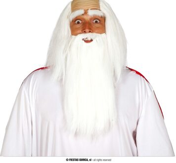 Lange witte verkleed baarden met snor - Tovenaarbaard - Kabouterbaarden