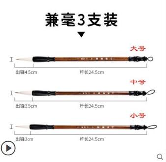 Langhao Yanghao Volwassen Beginners Medium Kleine Kalligrafie Chinese Reguliere Script Praktijk Student Chinese Schilderen Zachte Borstel stijl A