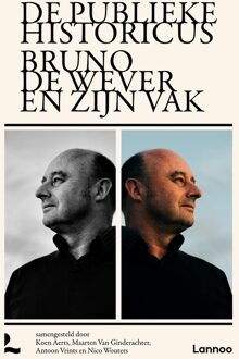 Lannoo De publieke historicus - Koen Aerts, Maarten Van Ginderachter, Antoon Vrints, Nico Wouters - ebook
