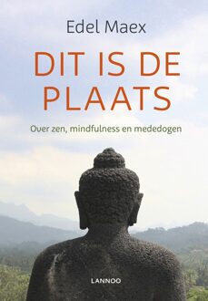 Lannoo Dit is de plaats - eBook Edel Maex (9401409773)