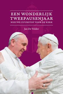 Lannoo Een wonderbaarlijk tweepausenjaar - eBook Jan de Volder (940141257X)