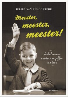 Lannoo Meester meester meester! - eBook Julien van Remoortere (9401405247)