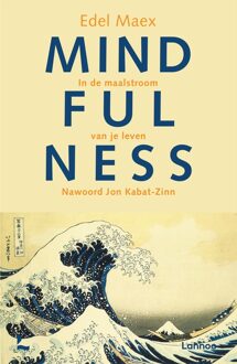 Lannoo Mindfulness - eBook Edel Maex (9020990896)