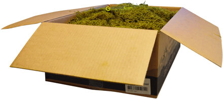 Lappenmos spring groen 2650 gram