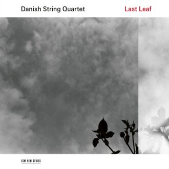 Last Leaf (Vinyl)
